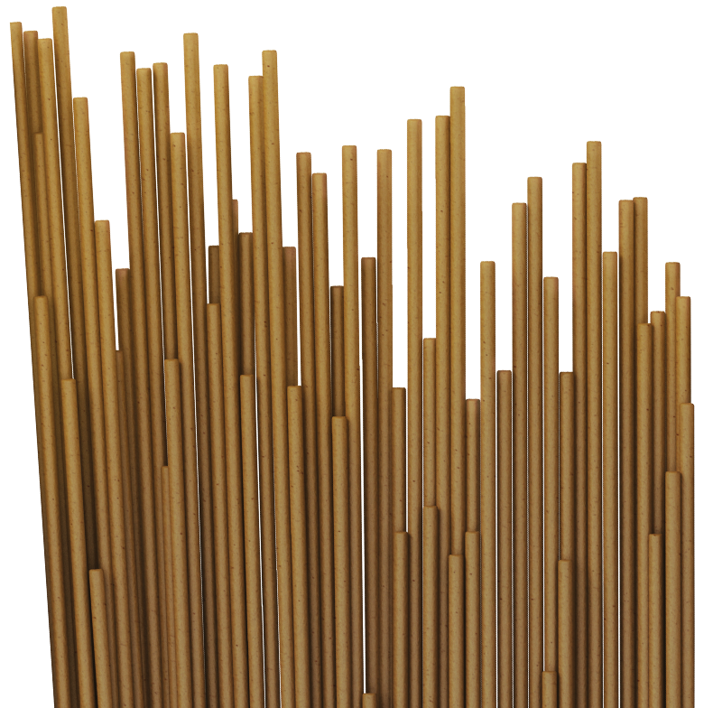 Whole Wheat Spaghetti